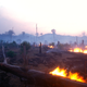 Image for article titled Impact Of The Massive Fires In The Amazon Rainforest